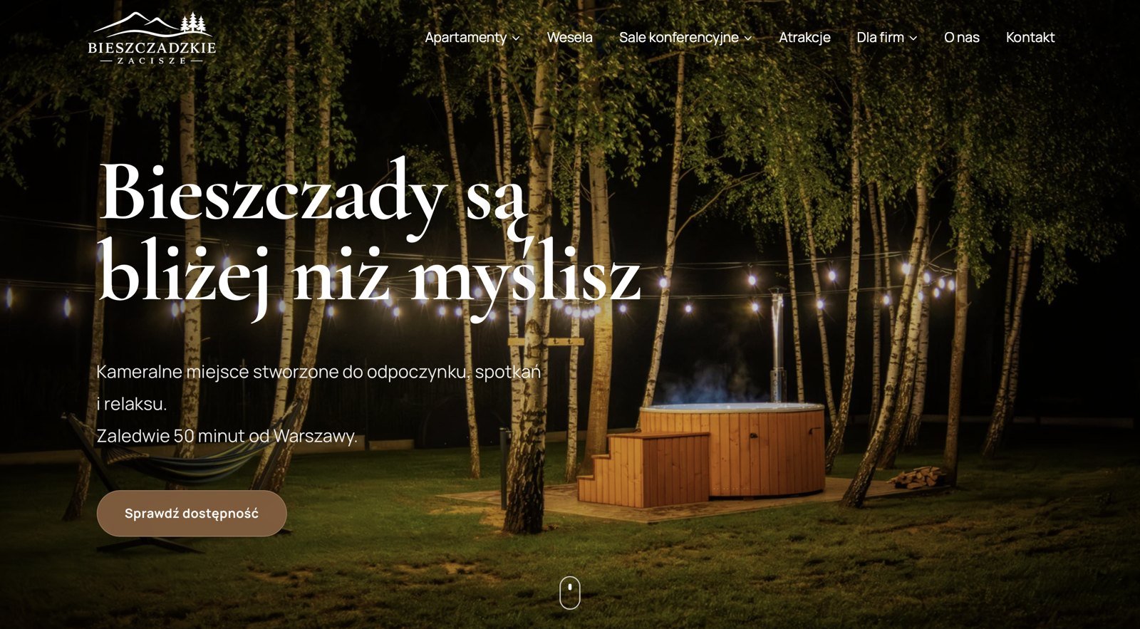 Strona Bieszczadzkie Zacisze, którą zbudowaliśmy